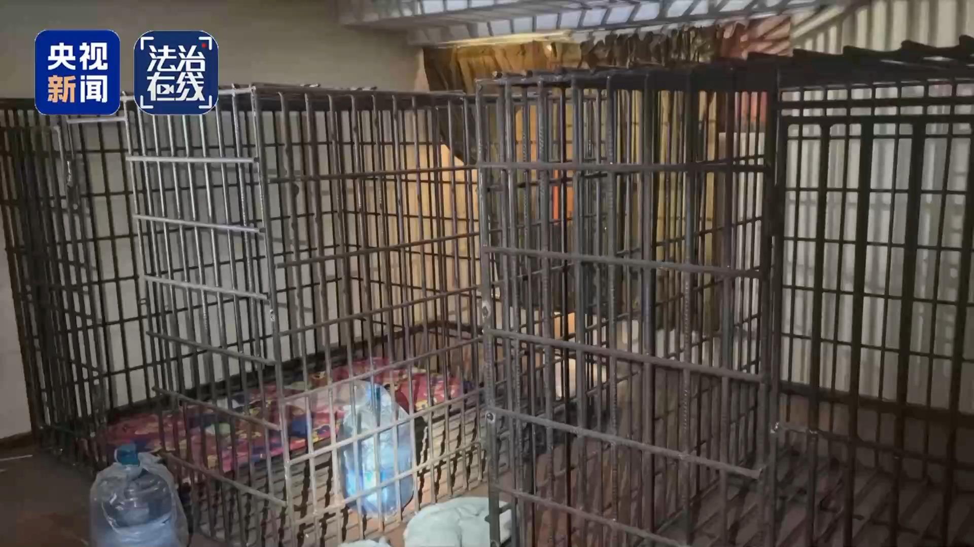 校园周边禁售烟酒，违规店家已遭立案！